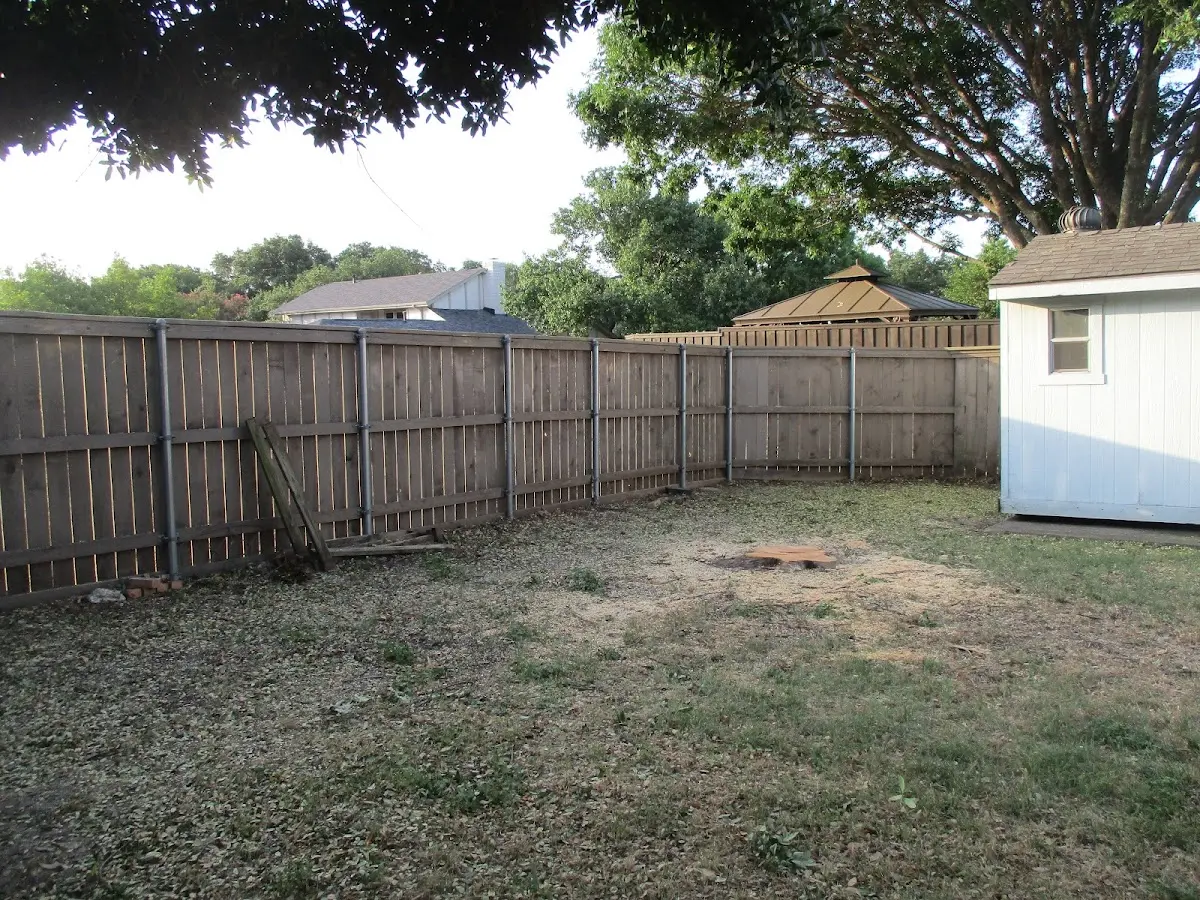 Cleared yard after professional tree removal in San Antonio